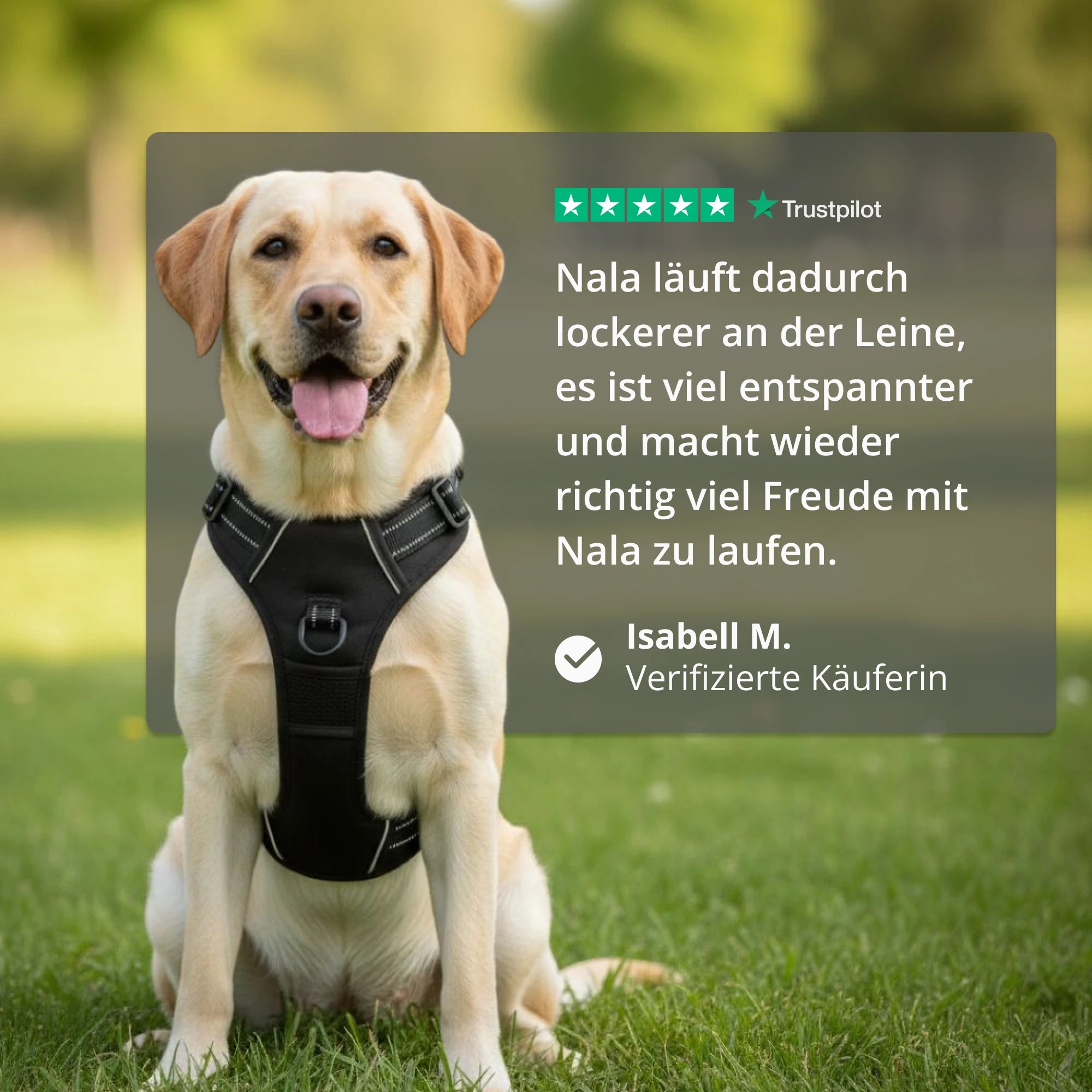 FELLSTERN™ ANTI-ZIEH-GESCHIRR