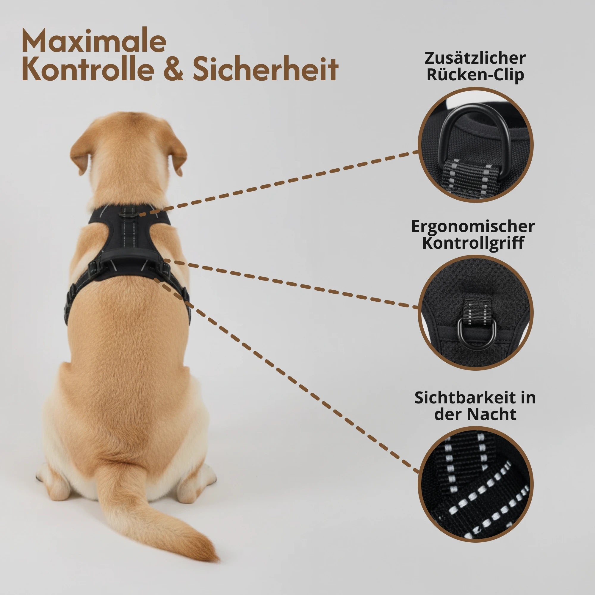 FELLSTERN™ ANTI-ZIEH-GESCHIRR